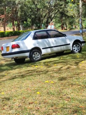 Used 1996  Toyota T100
