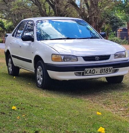 
Used 1996  Toyota T100 full									